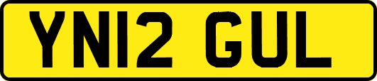 YN12GUL