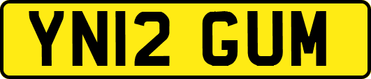 YN12GUM