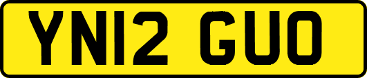 YN12GUO