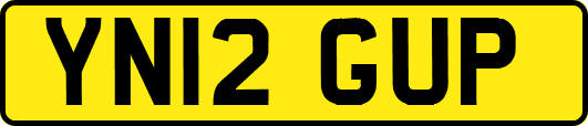 YN12GUP