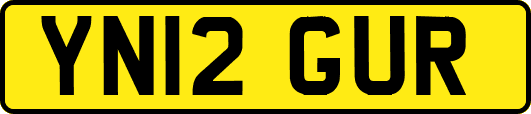 YN12GUR