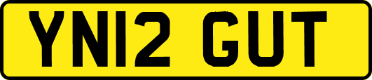 YN12GUT