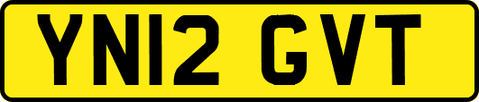YN12GVT
