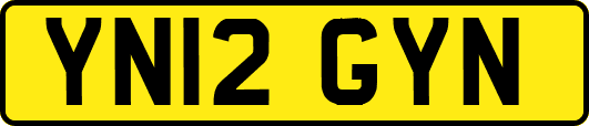 YN12GYN