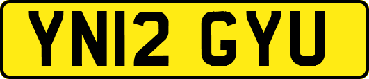 YN12GYU