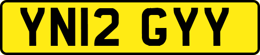 YN12GYY