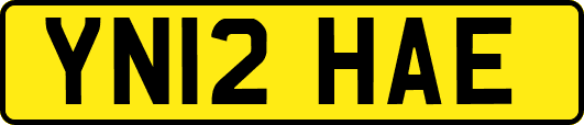 YN12HAE