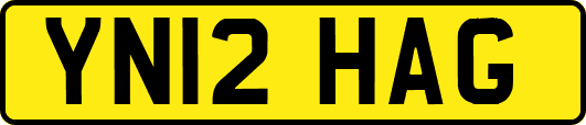 YN12HAG