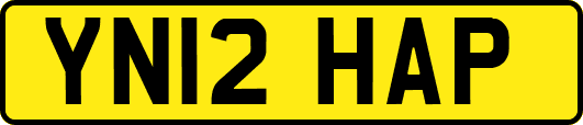 YN12HAP