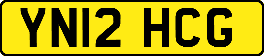 YN12HCG