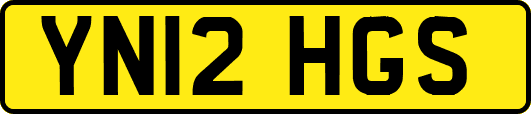 YN12HGS