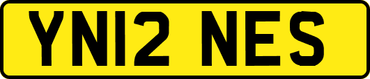 YN12NES
