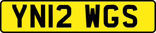 YN12WGS