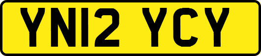 YN12YCY