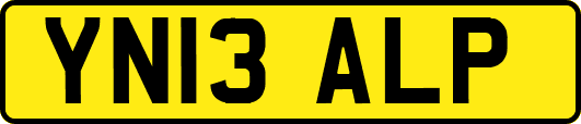 YN13ALP