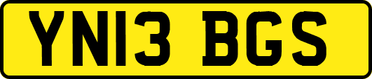 YN13BGS
