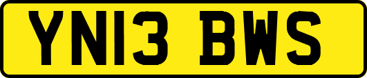 YN13BWS