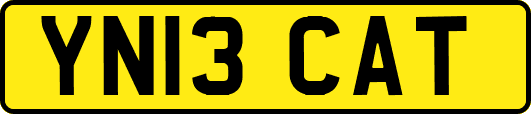YN13CAT