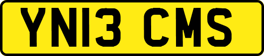 YN13CMS