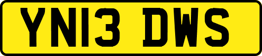 YN13DWS