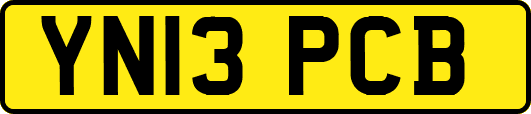 YN13PCB