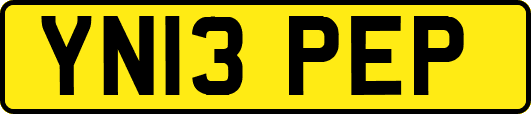YN13PEP