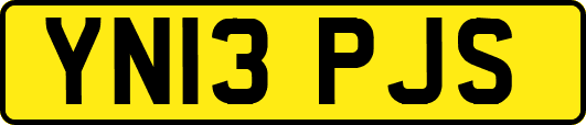 YN13PJS