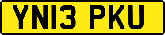 YN13PKU