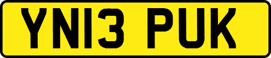 YN13PUK
