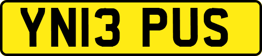 YN13PUS