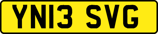 YN13SVG