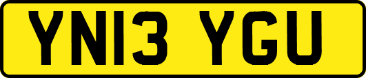 YN13YGU