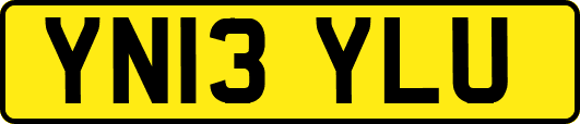 YN13YLU