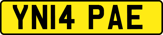 YN14PAE