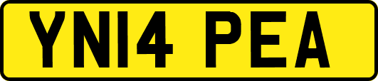 YN14PEA