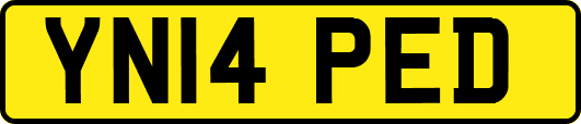 YN14PED