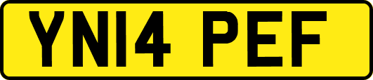 YN14PEF