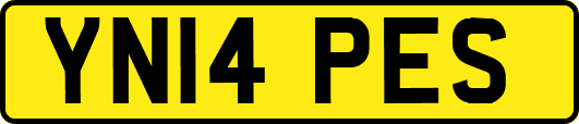 YN14PES