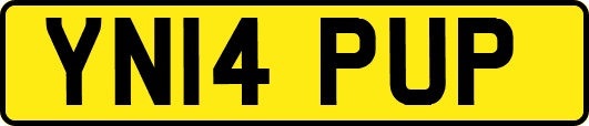 YN14PUP