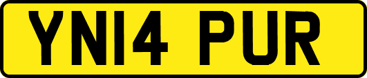 YN14PUR