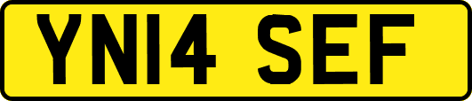 YN14SEF