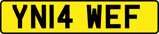 YN14WEF