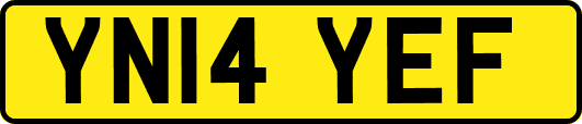 YN14YEF