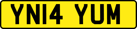 YN14YUM