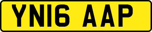 YN16AAP