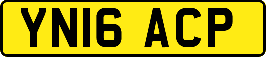 YN16ACP