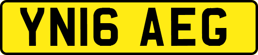 YN16AEG