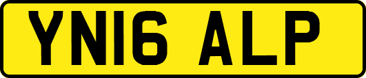 YN16ALP