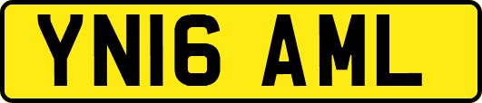 YN16AML