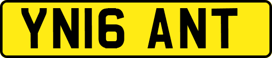 YN16ANT
